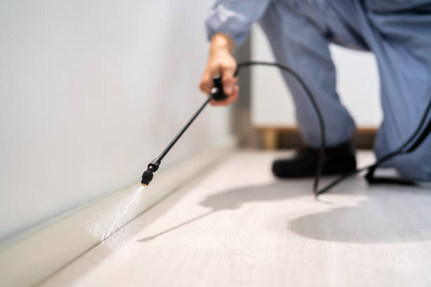 Bed Bug Pre-Treatment Preparation Assessment in Sibley