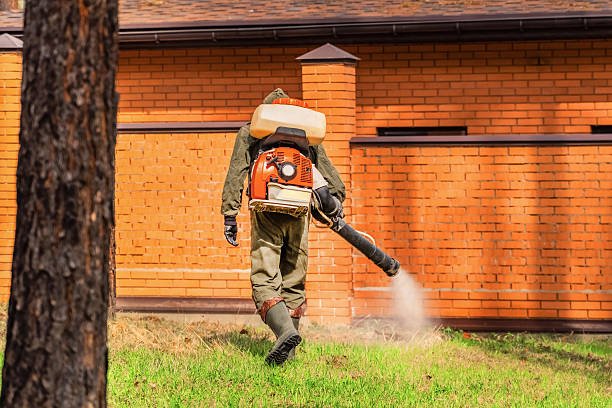 Bed Bug Clearance Verification and Documentation in Sibley